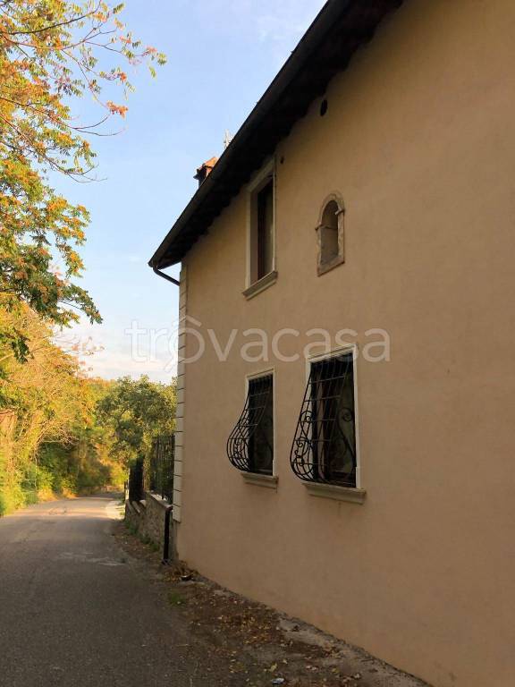 immagine annuncio 5 di 12