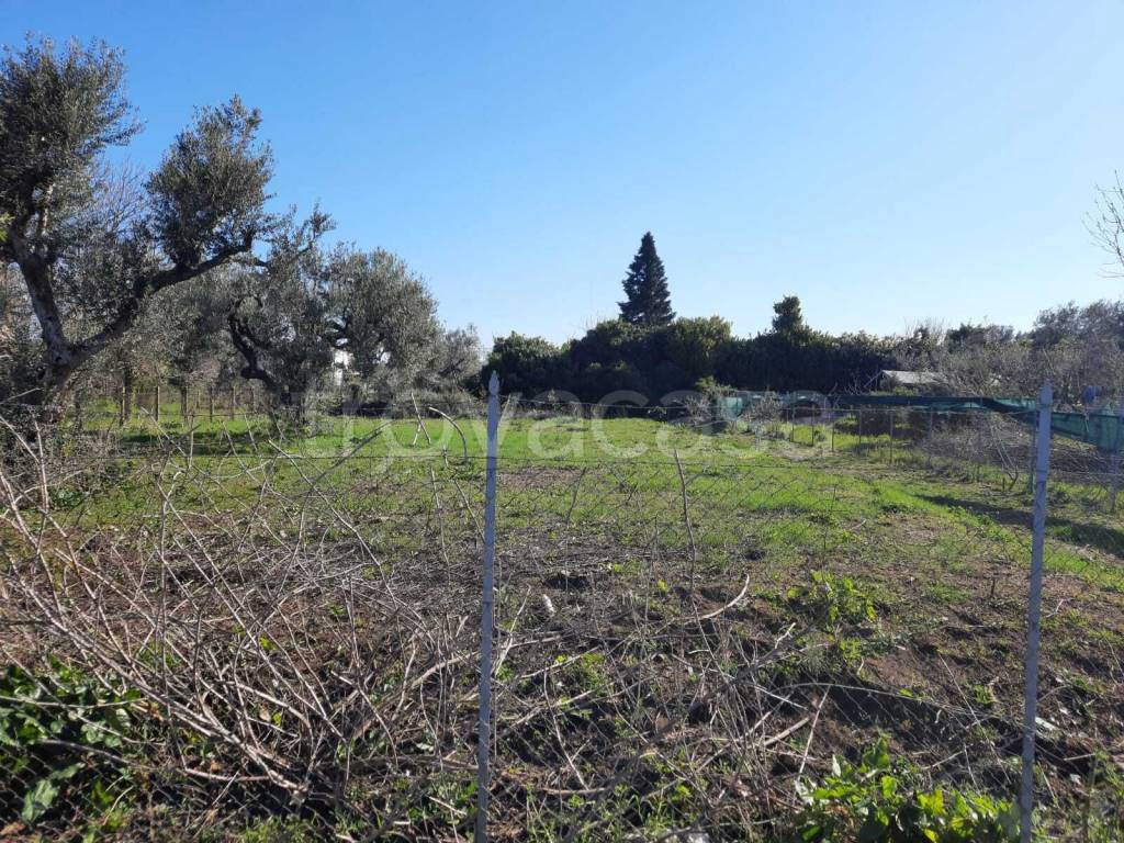Terreno Residenziale in vendita a Roma via di Sodano