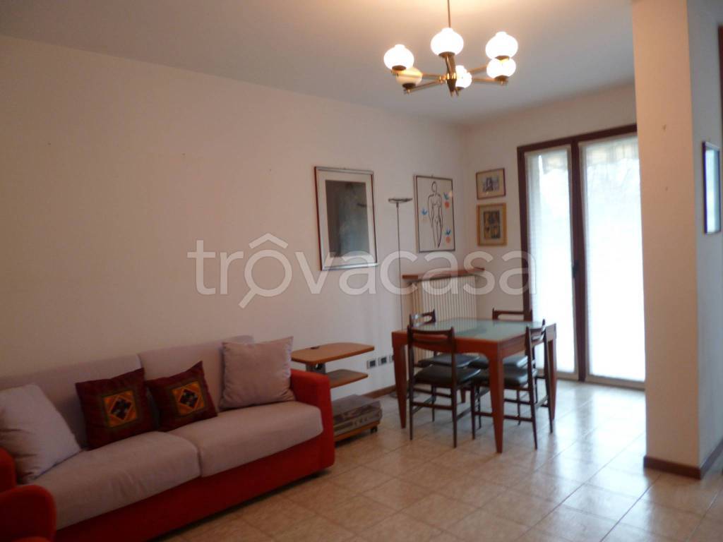 immagine annuncio 3 di 12