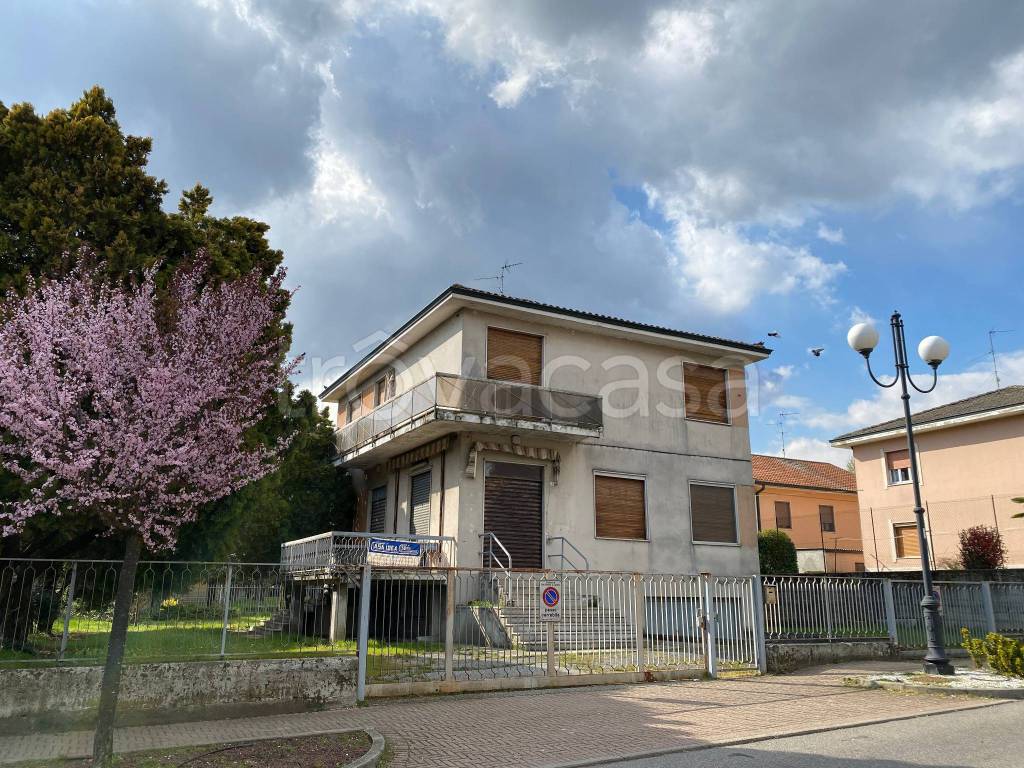 immagine annuncio 1 di 14