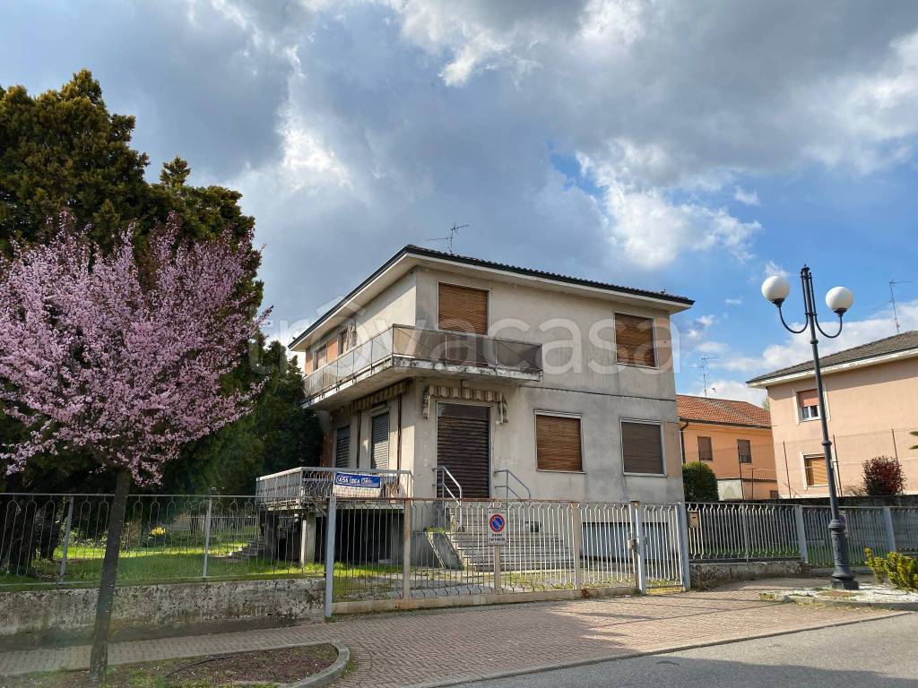immagine annuncio 5 di 14