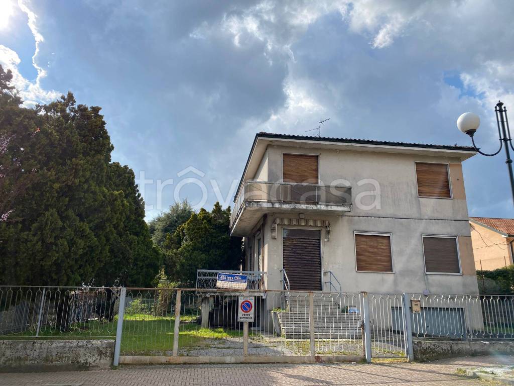 immagine annuncio 4 di 14