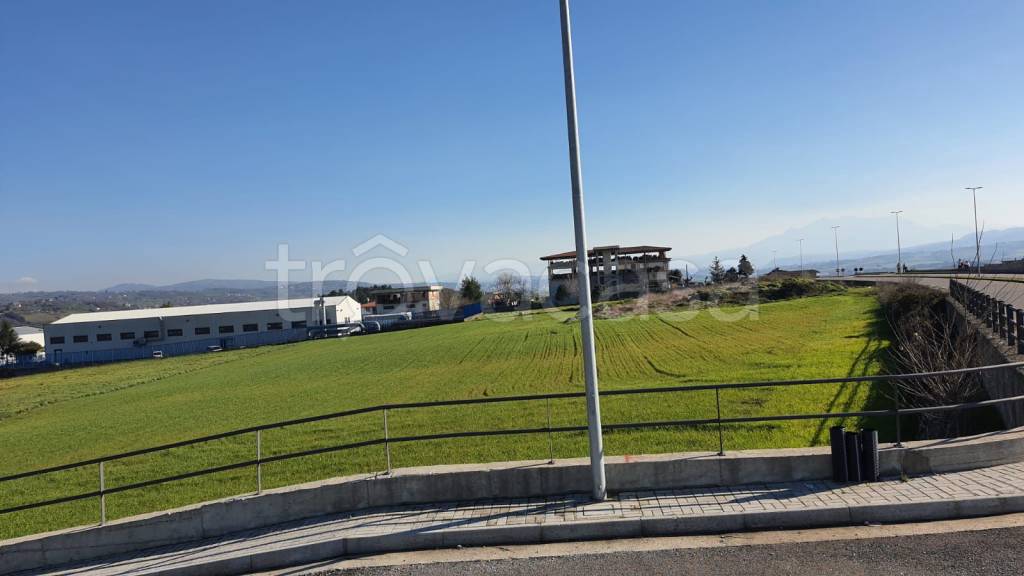 immagine annuncio 5 di 12
