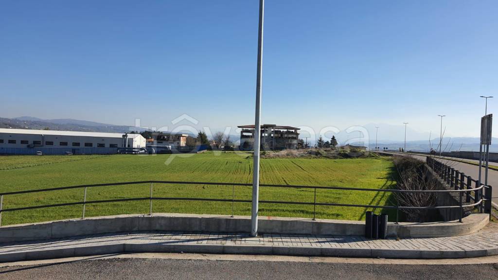 immagine annuncio 6 di 12