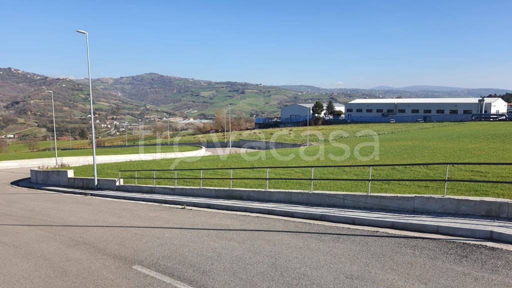 immagine annuncio 8 di 12