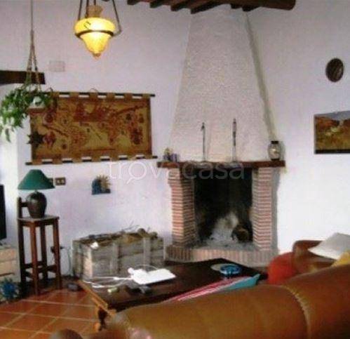 immagine annuncio 5 di 14