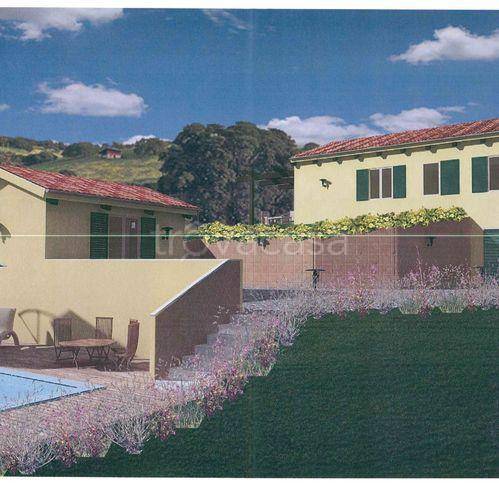 immagine annuncio 2 di 7