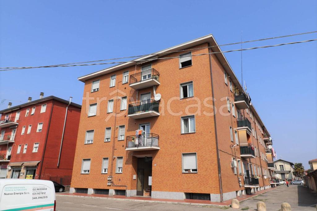 immagine annuncio 12 di 13