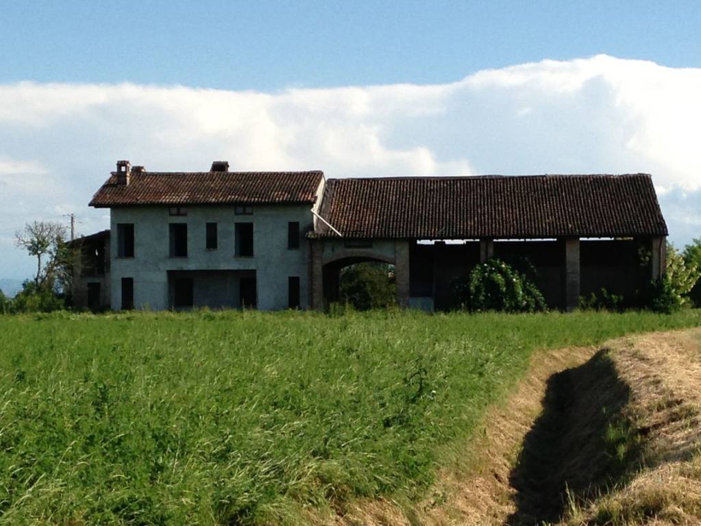 Azienda Agricola in affitto a Caorso strada Mezzanone Roncarolo