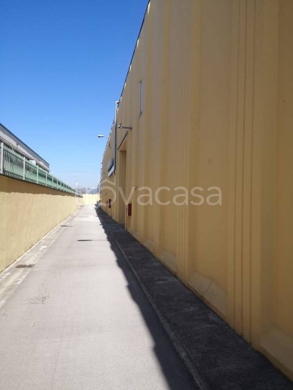 immagine annuncio 10 di 11