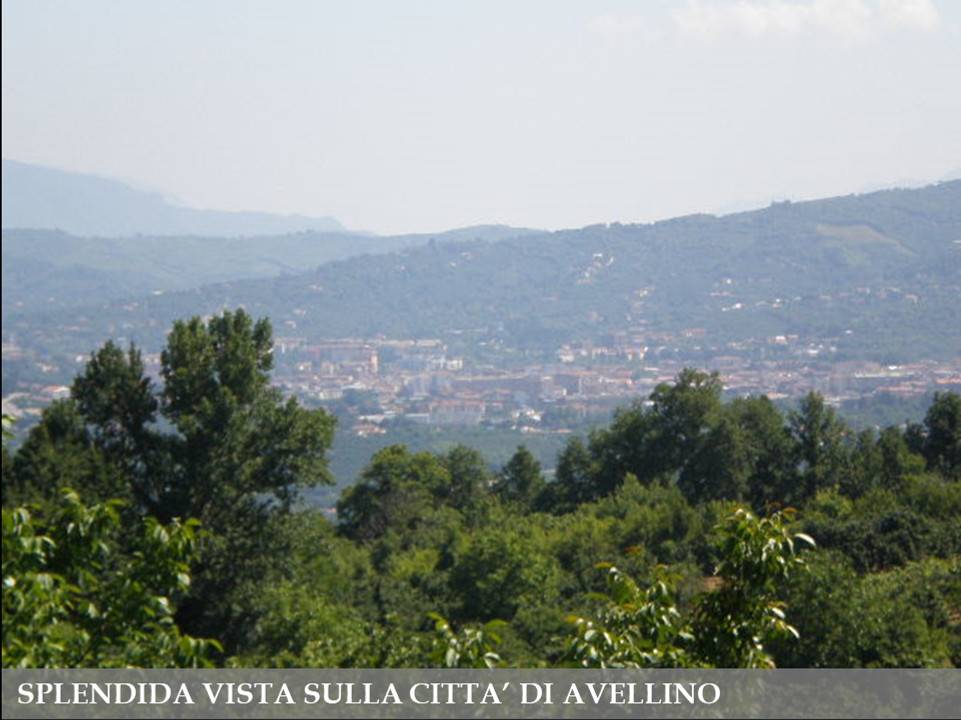 Terreno Residenziale in vendita a Grottolella via Dante Alighieri