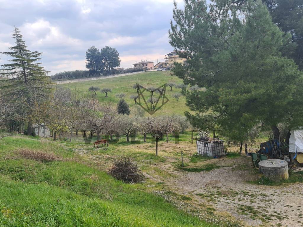 immagine annuncio 3 di 4