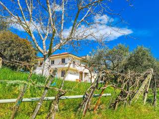 Casa indipendente in vendita a monterubbiano contrada molino