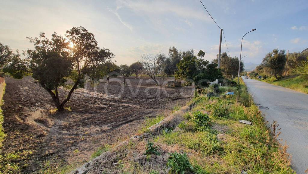 Terreno Agricolo in vendita a Bellona via Triflisco