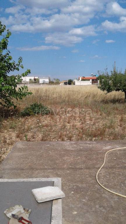 Terreno Agricolo in vendita a Torricella via Rodi, 41