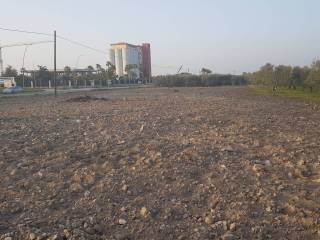 Terreno agricolo in vendita a cerignola strada statale rivolese