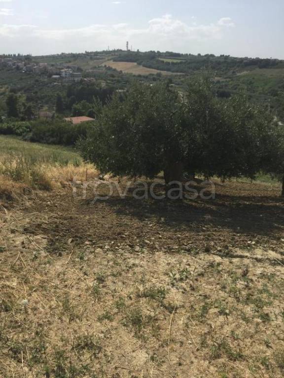 immagine annuncio 5 di 14