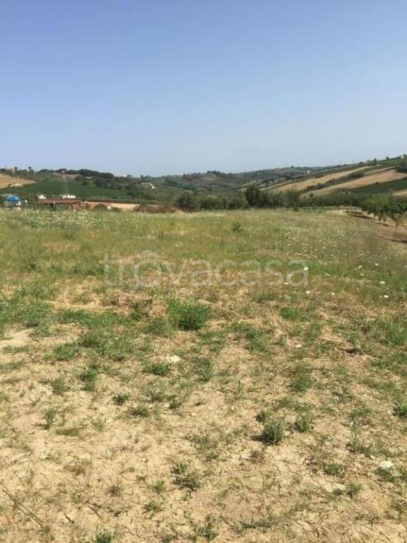 immagine annuncio 11 di 14