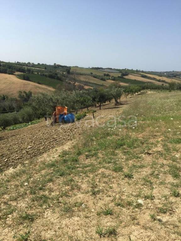 immagine annuncio 13 di 14