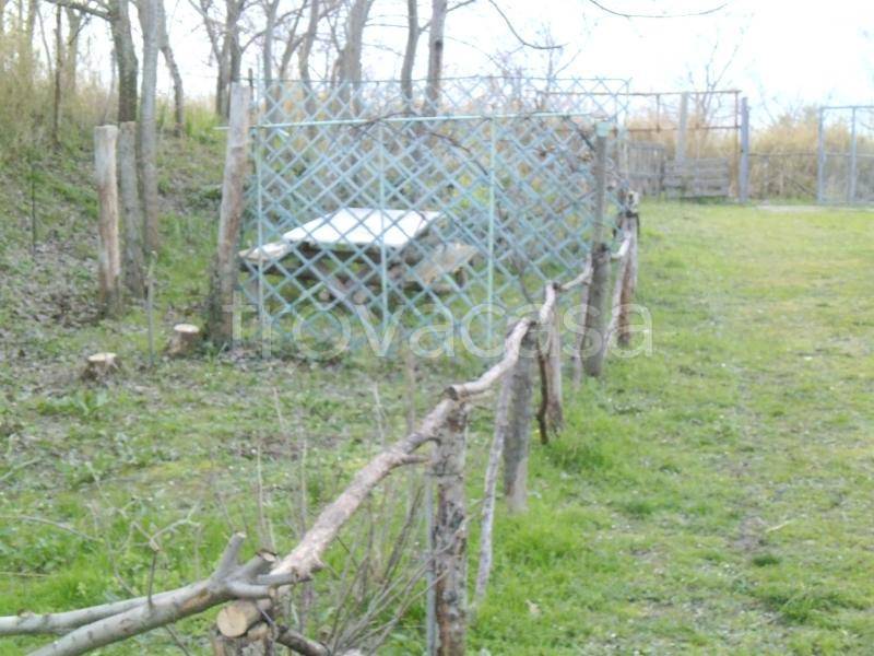 immagine annuncio 3 di 8