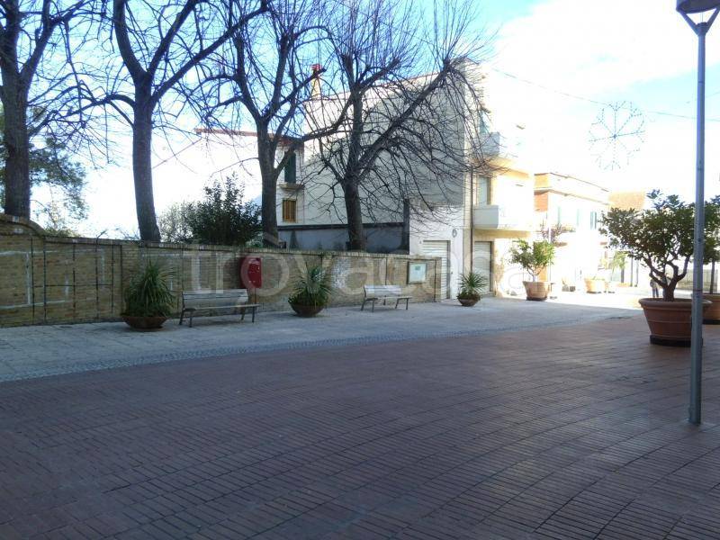 immagine annuncio 9 di 14