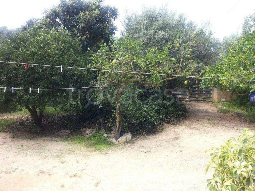 immagine annuncio 11 di 13