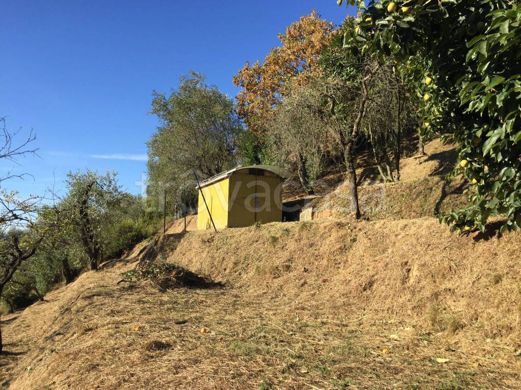 immagine annuncio 1 di 4