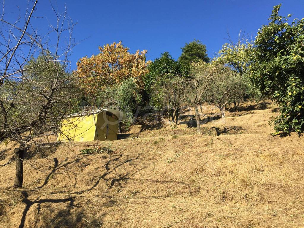 immagine annuncio 2 di 4