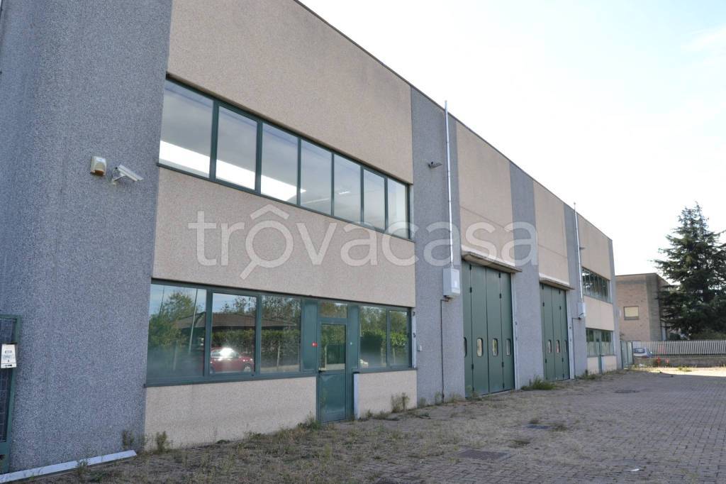 immagine annuncio 5 di 15