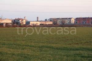Terreno Agricolo in vendita a Mezzago via Guglielmo Marconi