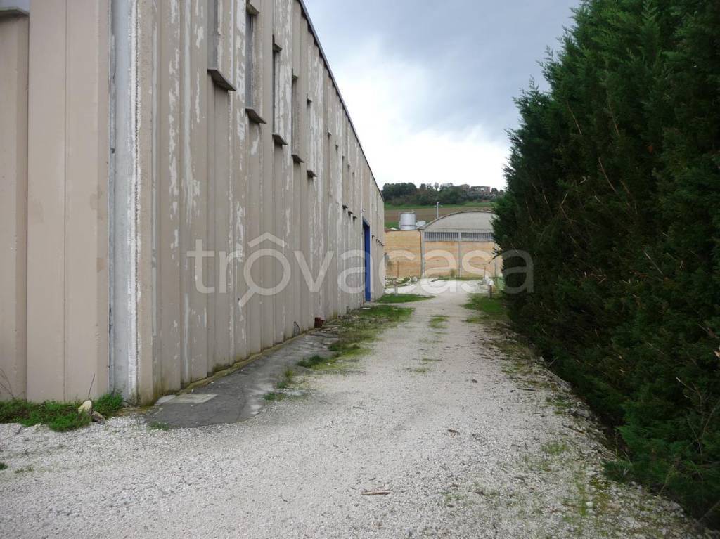 immagine annuncio 3 di 9