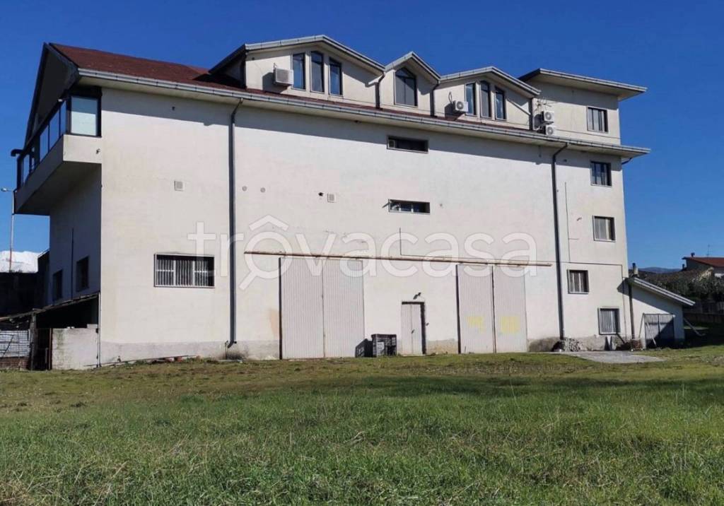 immagine annuncio 8 di 11