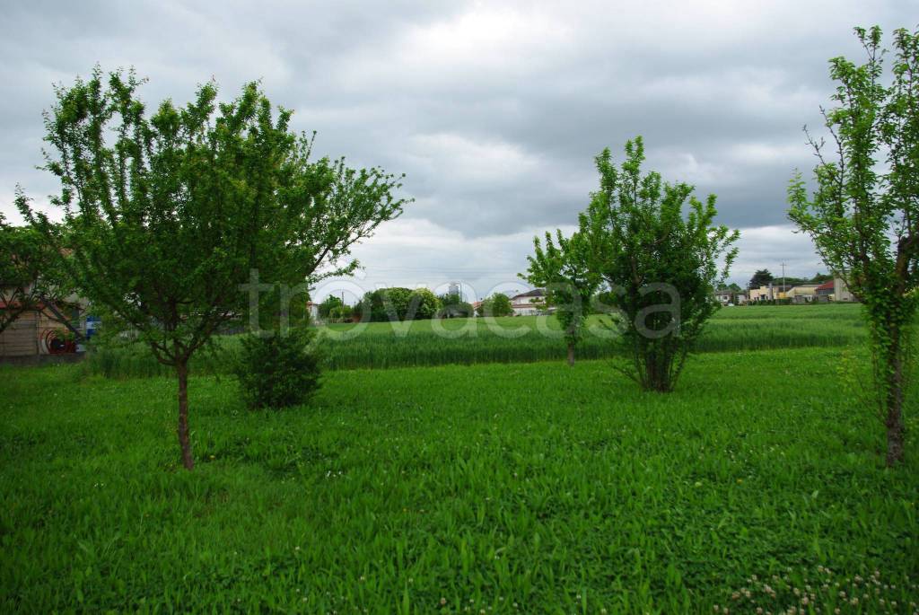 immagine annuncio 4 di 12