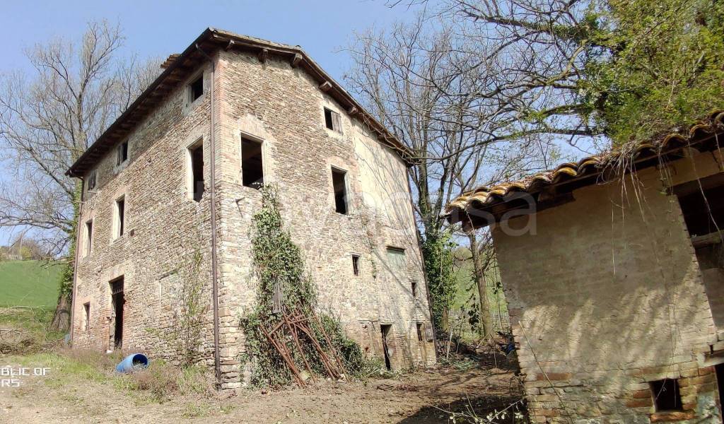 immagine annuncio 10 di 12