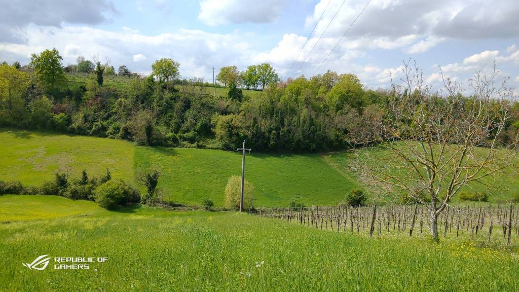Terreno Agricolo in vendita a Castelvetro di Modena via Medusia