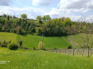 Terreno agricolo in vendita a castelvetro di modena via medusia