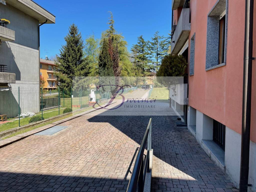 immagine annuncio 9 di 12