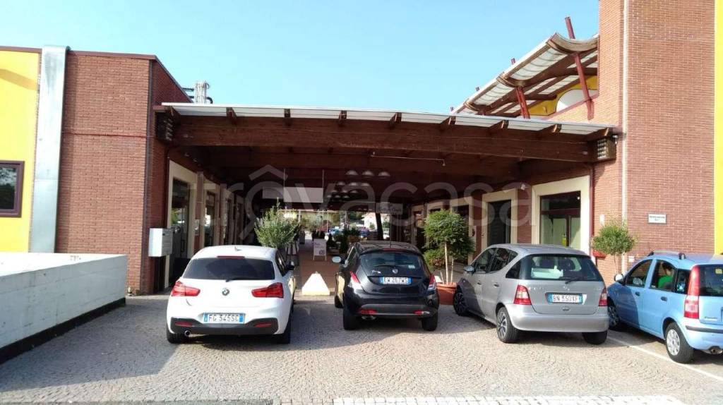 immagine annuncio 9 di 12