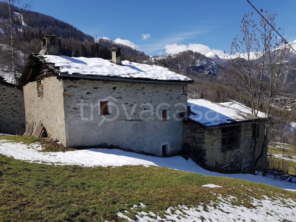 immagine annuncio 4 di 11