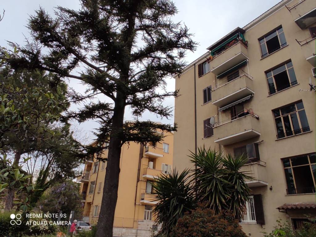Appartamento in in vendita da privato a Terni viale Centurini, 21