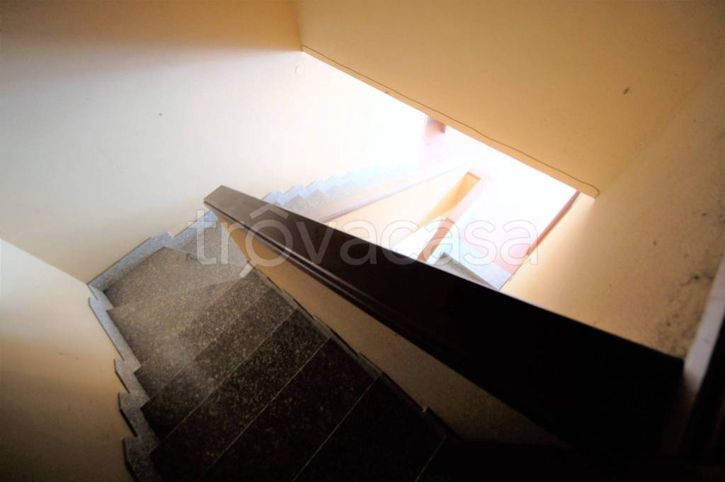 immagine annuncio 9 di 14