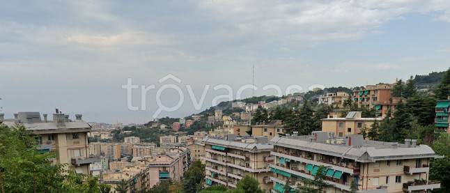 Appartamento in in vendita da privato a Genova via Capri, 97