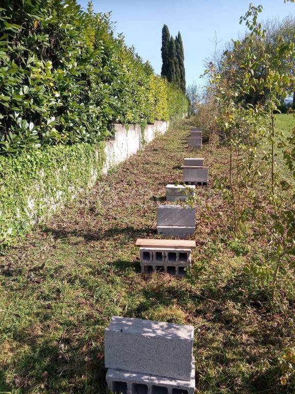 Terreno Agricolo in vendita a Cassino via per Panaccioni, 14