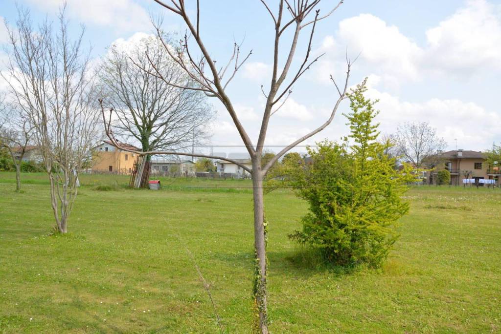 immagine annuncio 3 di 8