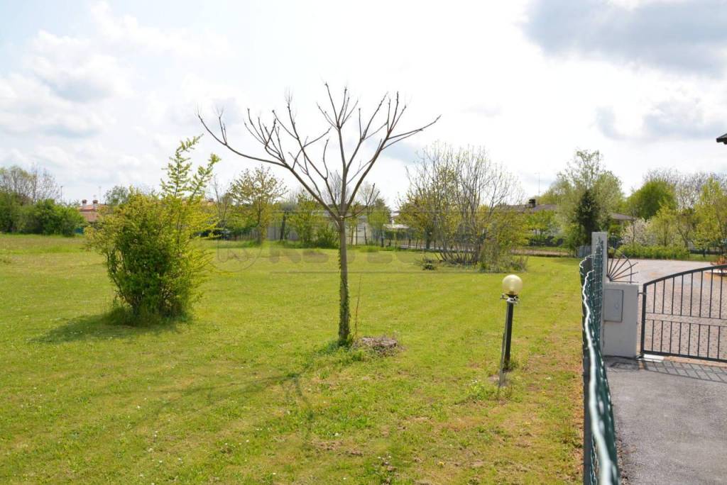 immagine annuncio 4 di 8