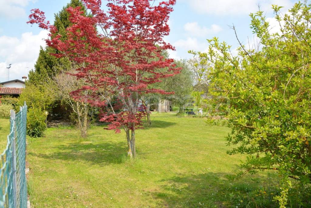 immagine annuncio 5 di 8