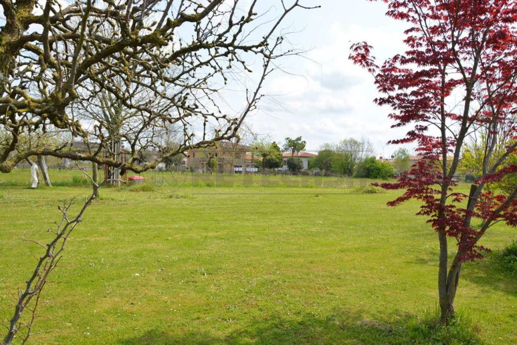 immagine annuncio 6 di 8