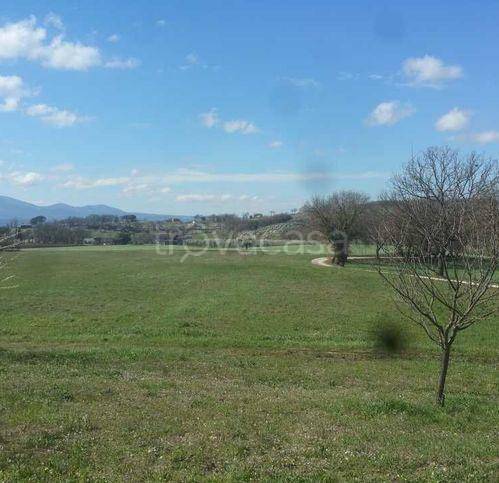 Terreno Agricolo in vendita a Lugnano in Teverina via San Francesco