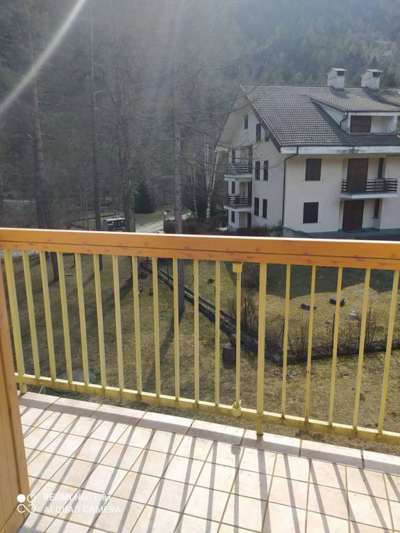 immagine annuncio 3 di 14