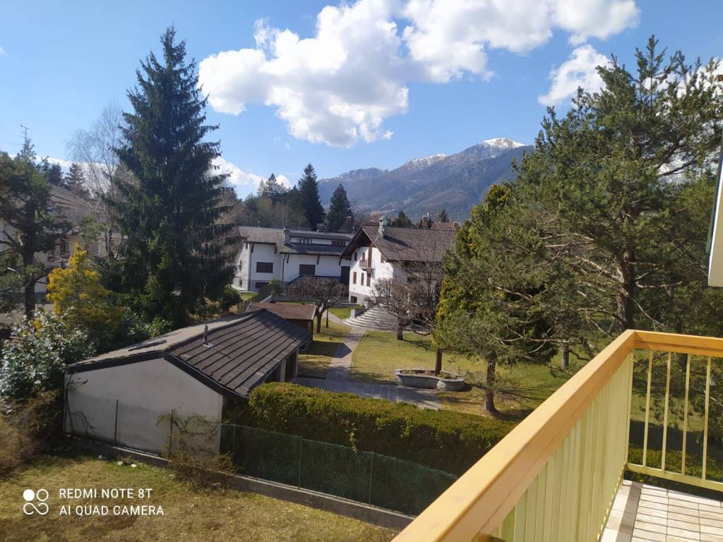 immagine annuncio 1 di 14